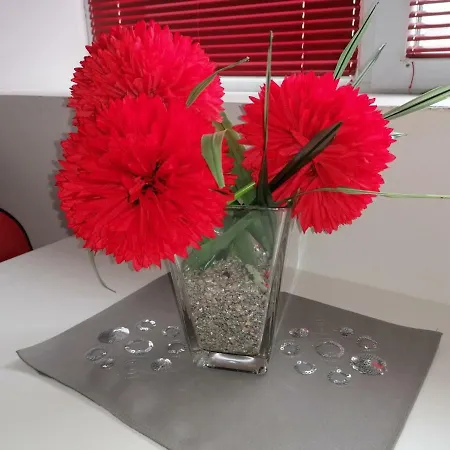 Jednosoban Stan Centar Apartment Pirot